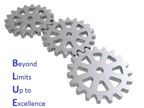 Blue Lean Consulting